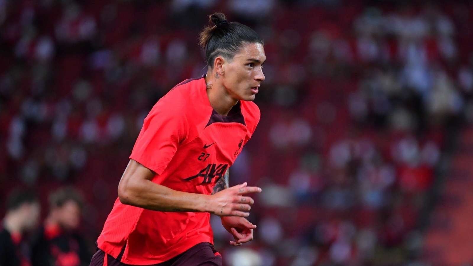 更为细致的 更为细致的